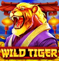 Wild Tiger